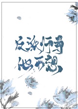 �ڻ�ʦ��������۴����
